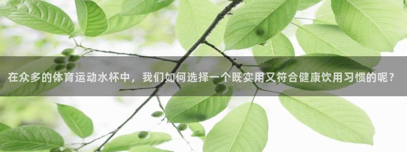 广州市意昂智能科技有限公司