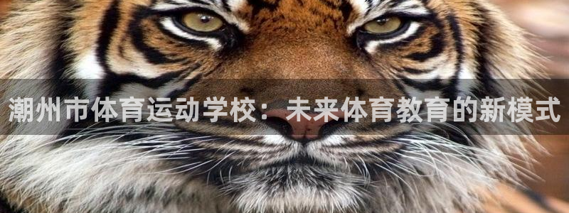 意昂2体育平台总代理