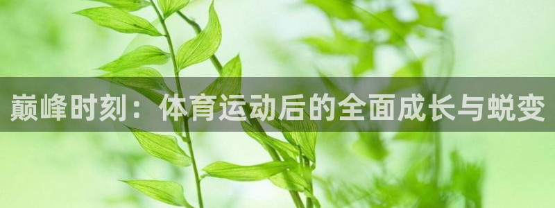 东莞市大朗意昂五金厂