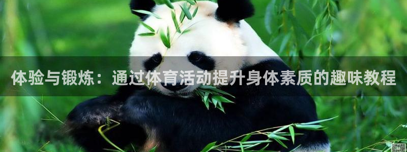意昂2体育3