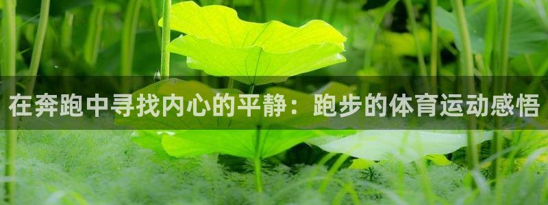 意昂2主管