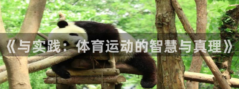 意昂2体育平台注册