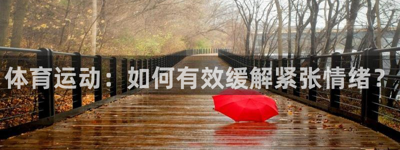 意昂2体育凯捷平台招商