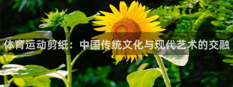 意昂2体育热门赛事有哪些