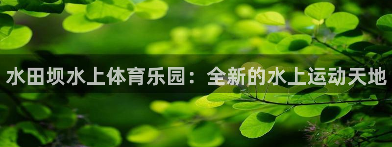 意昂2代理