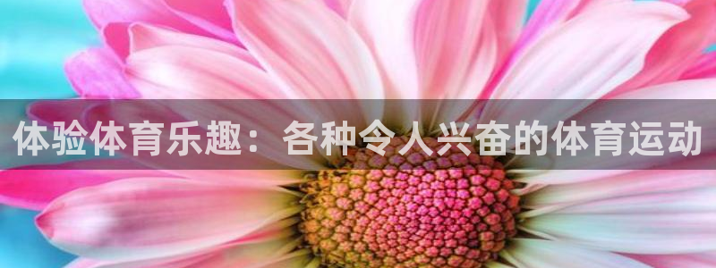 意昂2代理注册官网入口