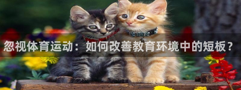 意昂2体育官网
