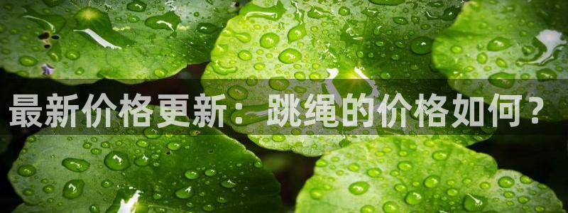 意昂2代理注册