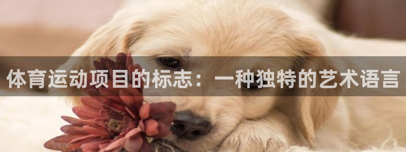 成都意昂电子有限公司