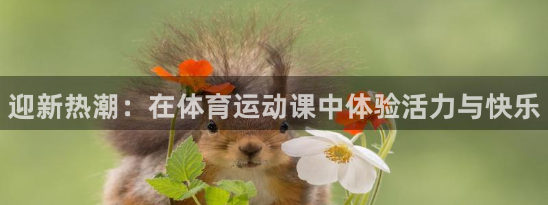 意昂24代理