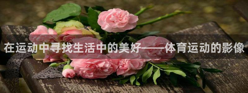 意昂23登录