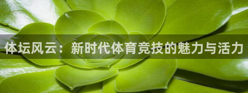 意昂2体育注册代理