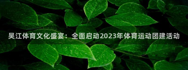 意昂2股份